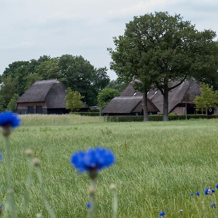 Gastenverblijf Lheederhof Dwingeloo Buitenkant foto