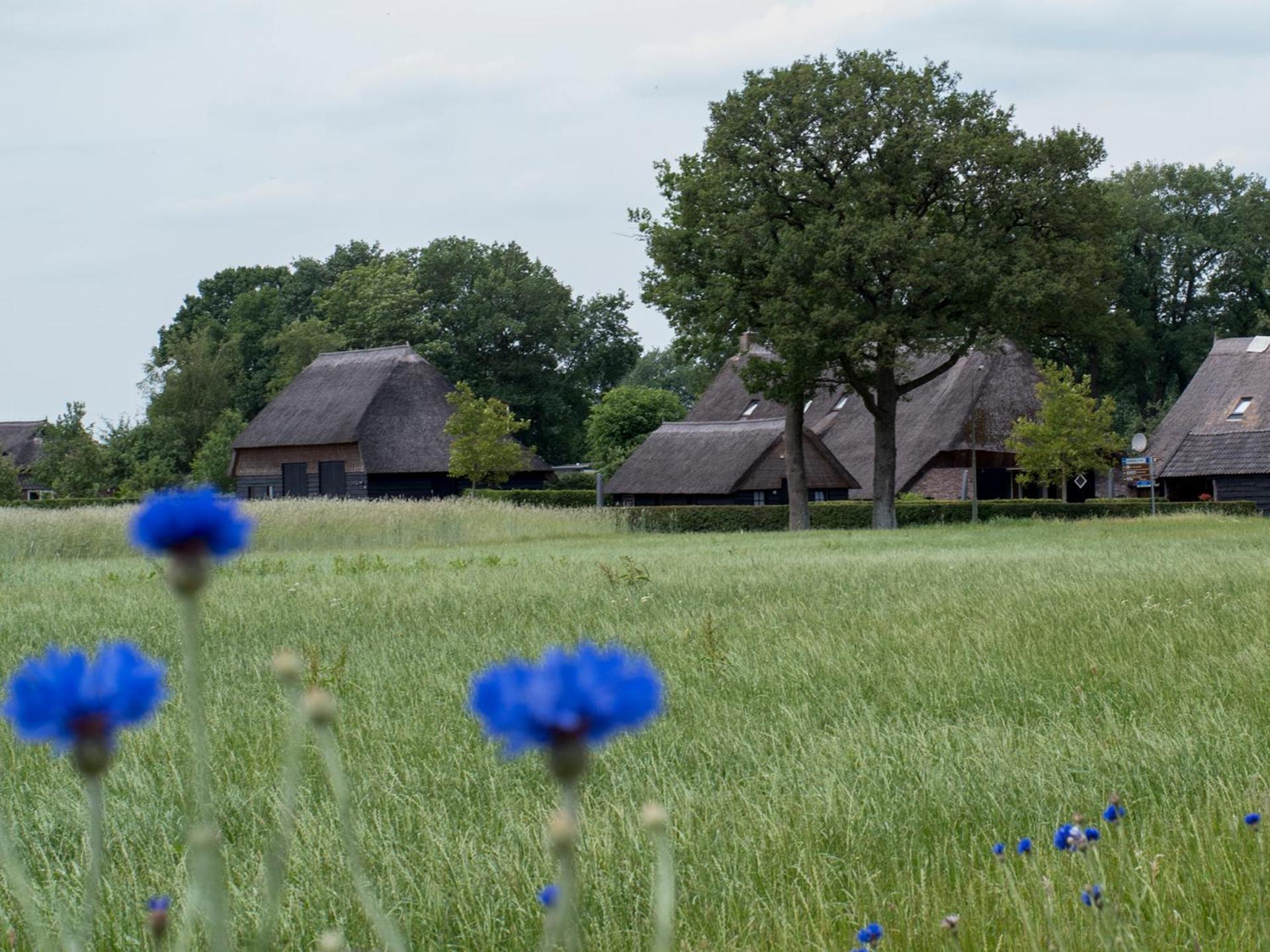 Gastenverblijf Lheederhof Dwingeloo Buitenkant foto